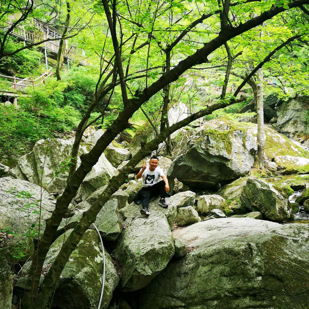 StarGazer（观星人）