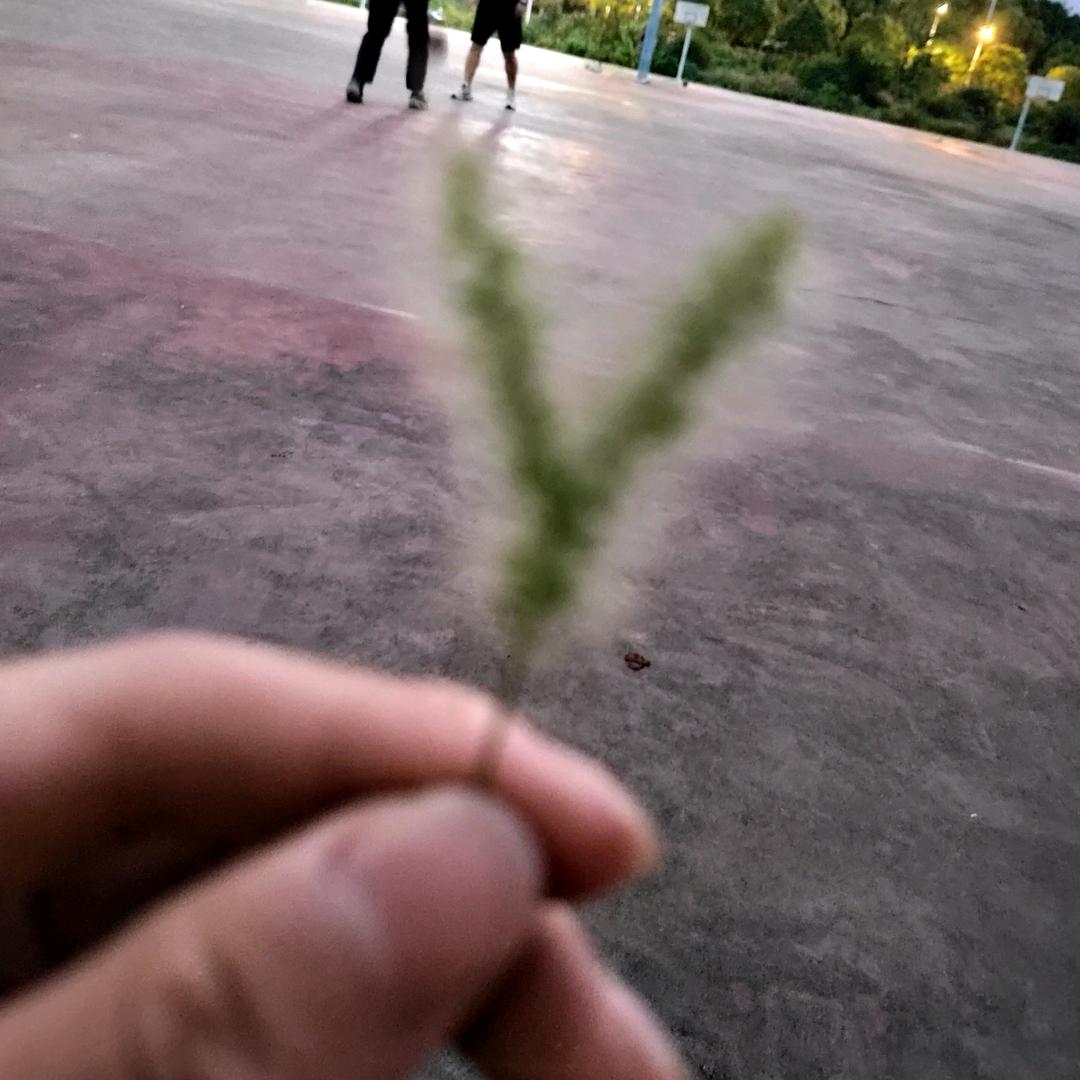 路人甲