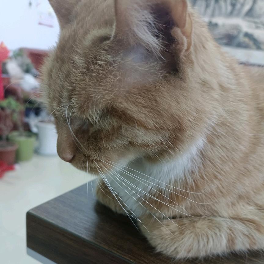 造财