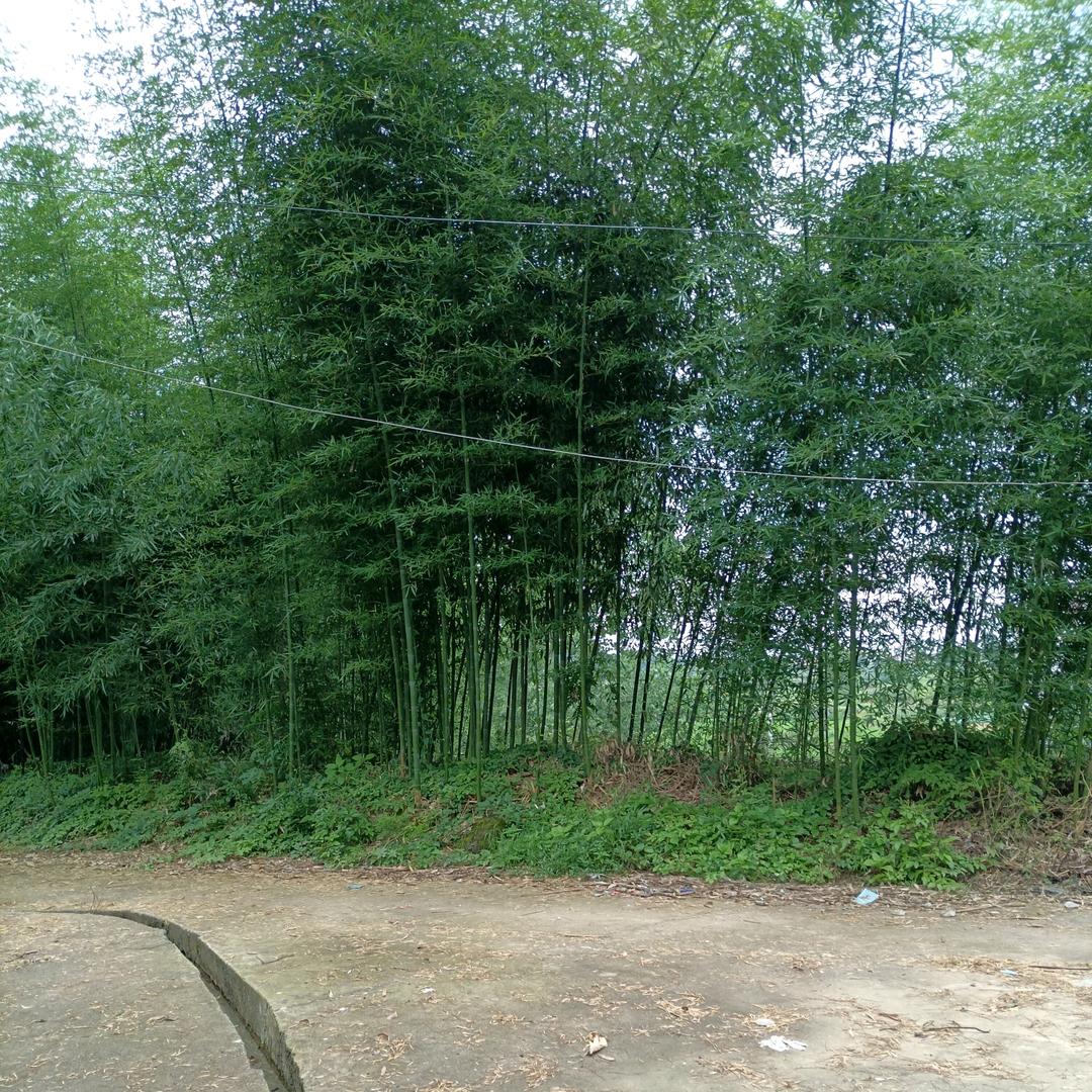 余生有你