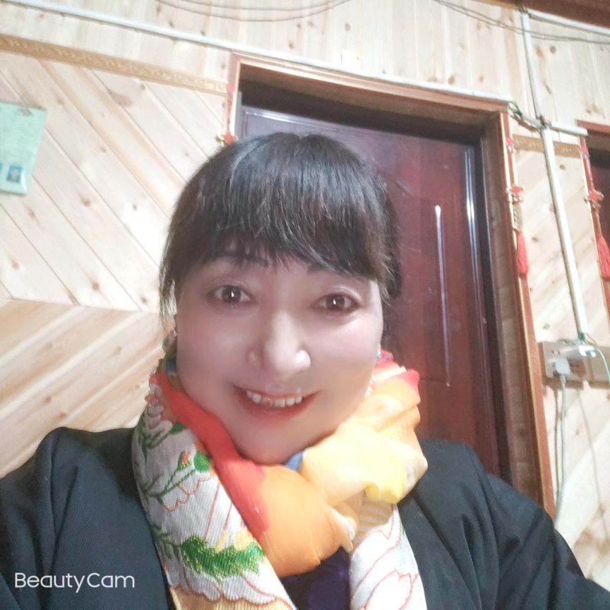 高原牛11点15分开播