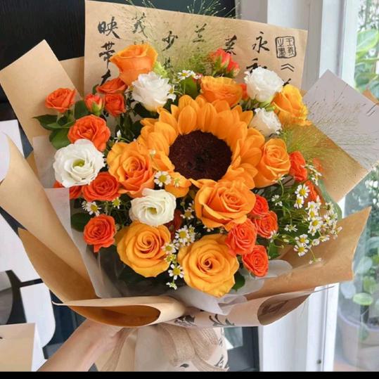 心之所向，素履以往