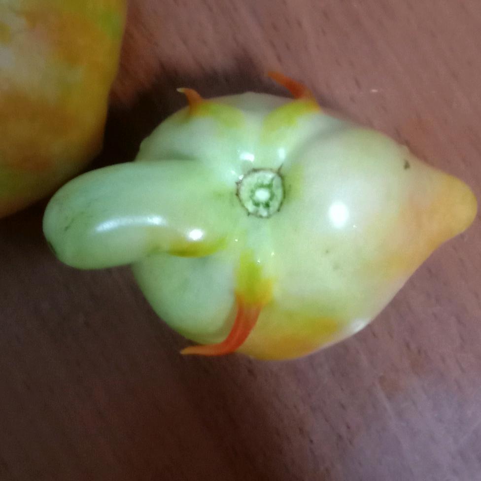 曹正开
