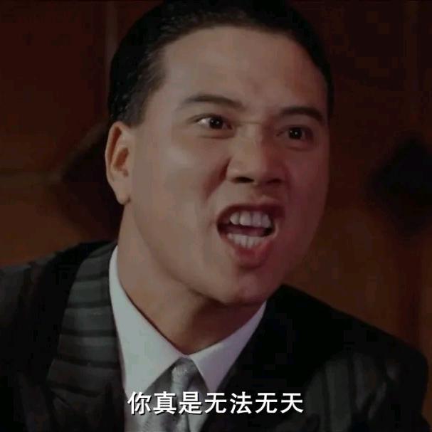 砖头炖鸡肉