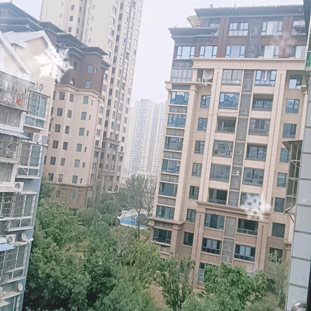 南充老刘