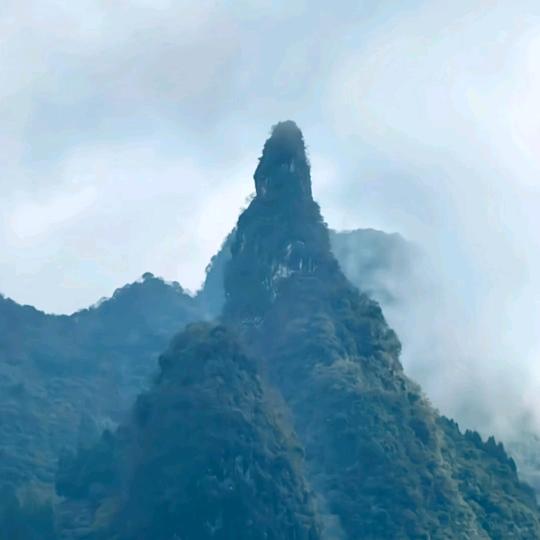 时光不老我们不散