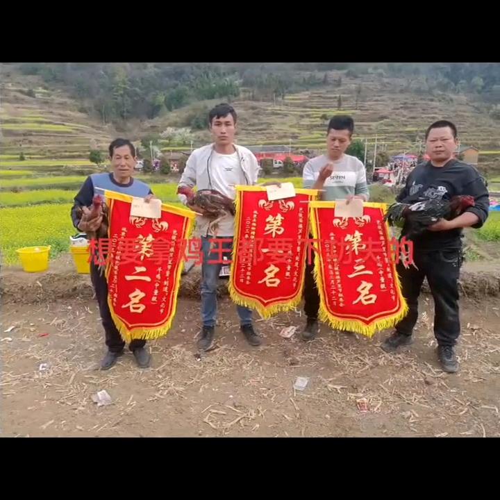 我帮你挑选，你放心玩