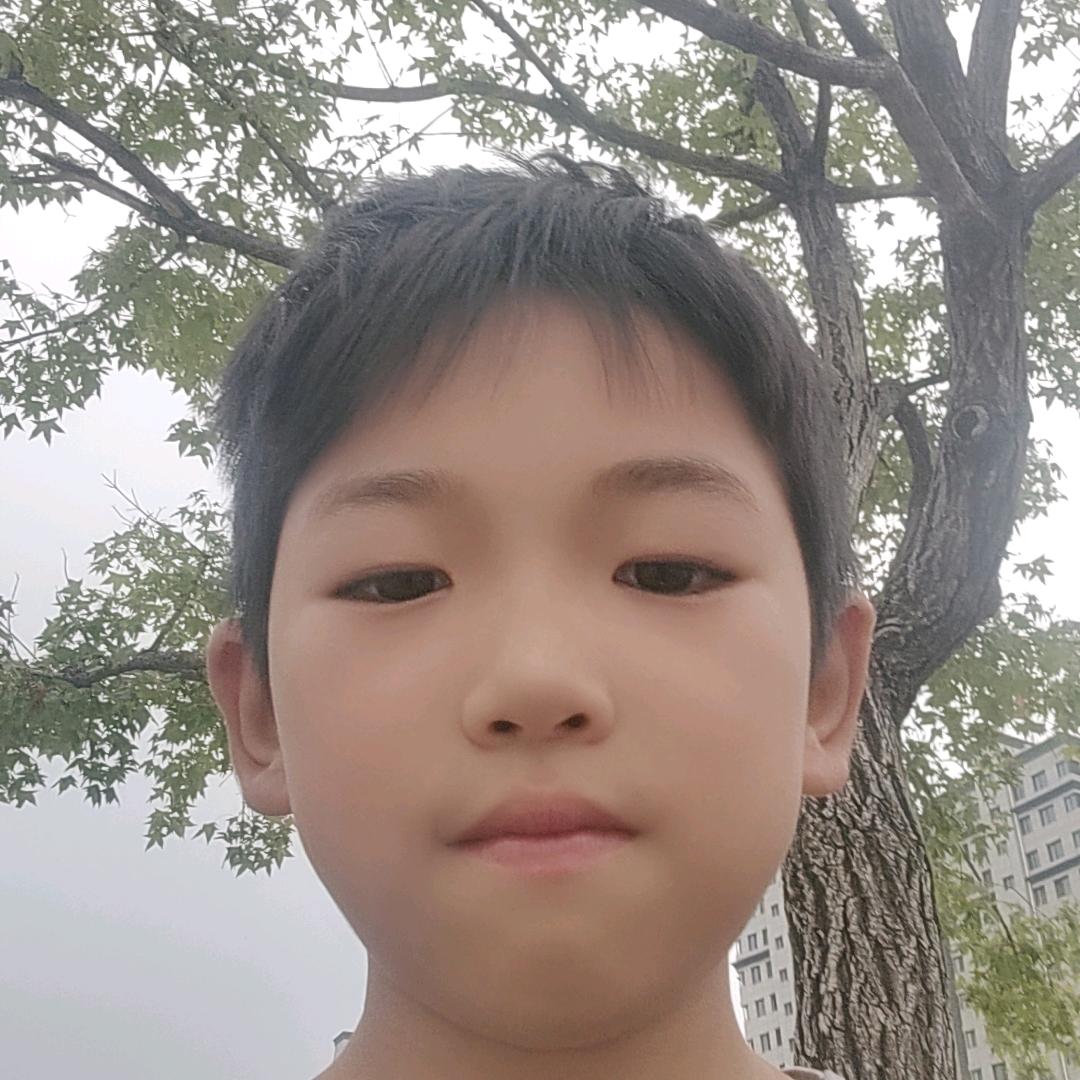 暗影杀手
