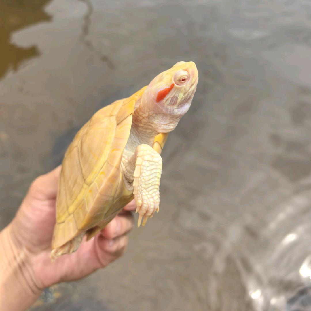 南丰县鑫都水产销售店102