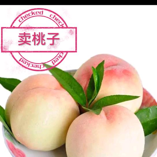 民拥军（新农人）