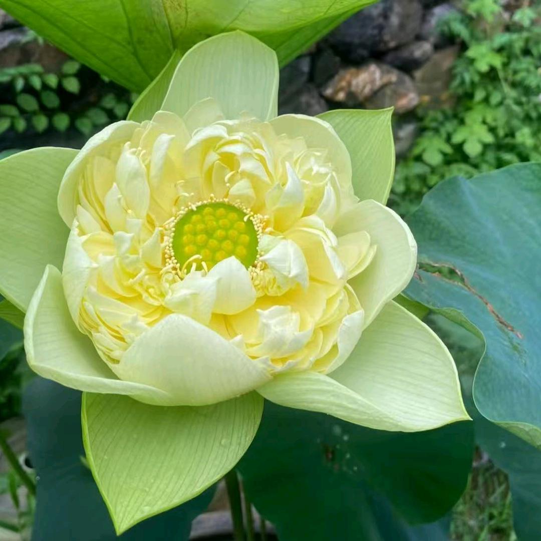 开开心心每一天😁