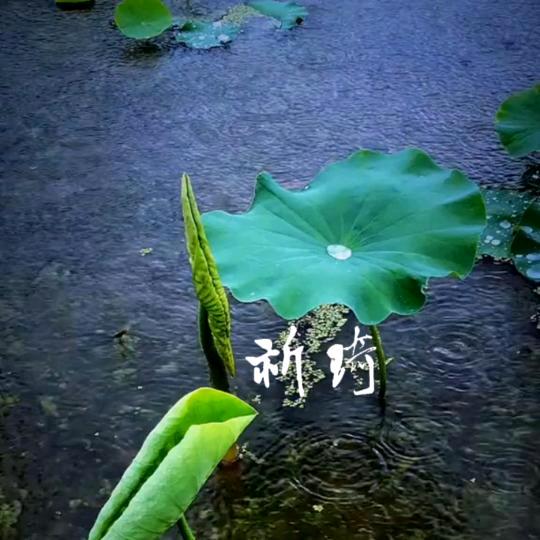 祈～琦