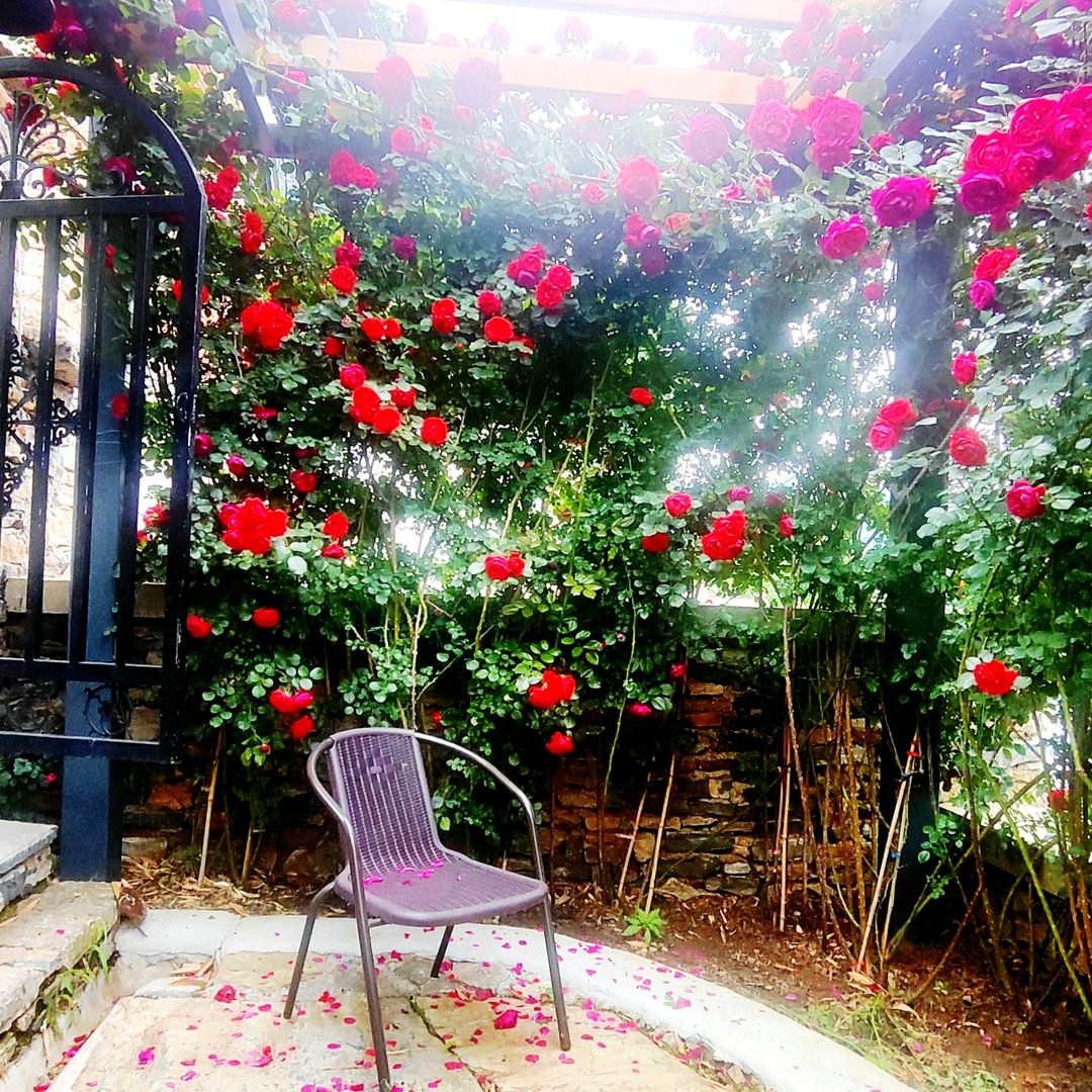 雪野湖音缘心释庭院