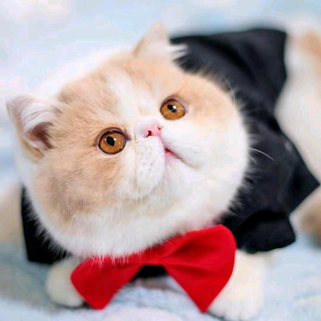 @为你变乖@