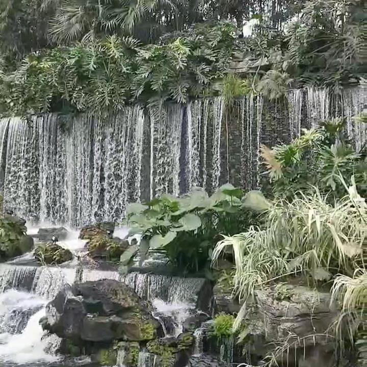 梦想诚真