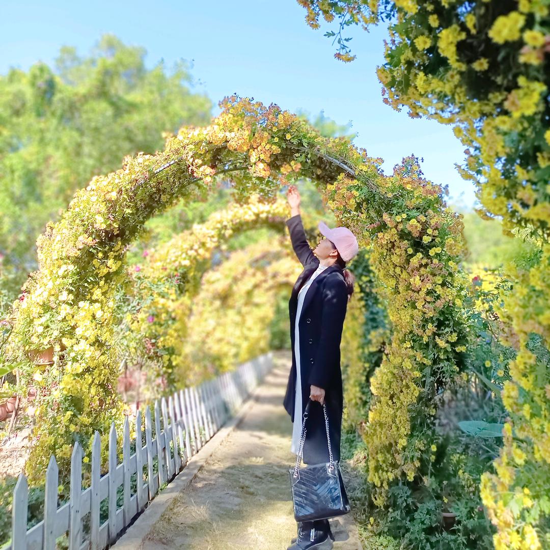 🌹美好时光🌹