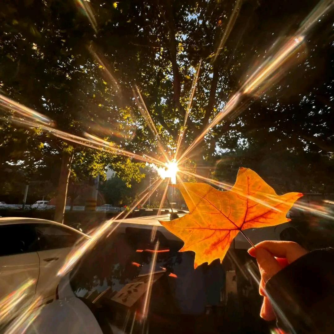 💞ꦿℒℴѵℯ雨এ⁵²º: ℳঞᩚ