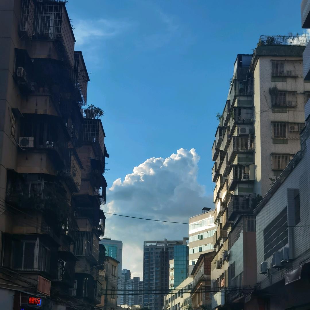 富贵姐