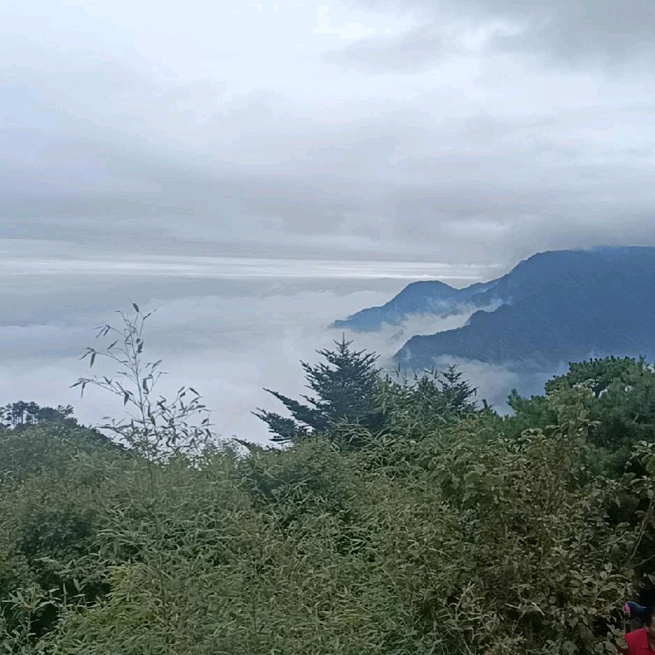 改变自己