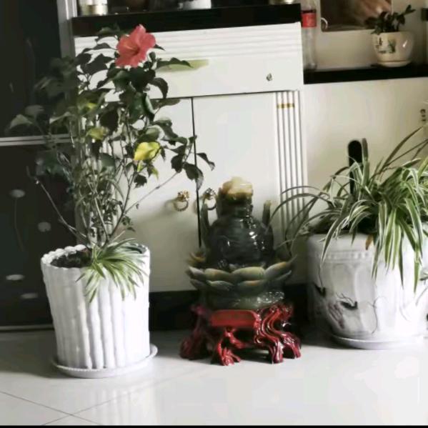 安徽远嫁陕西的丫头