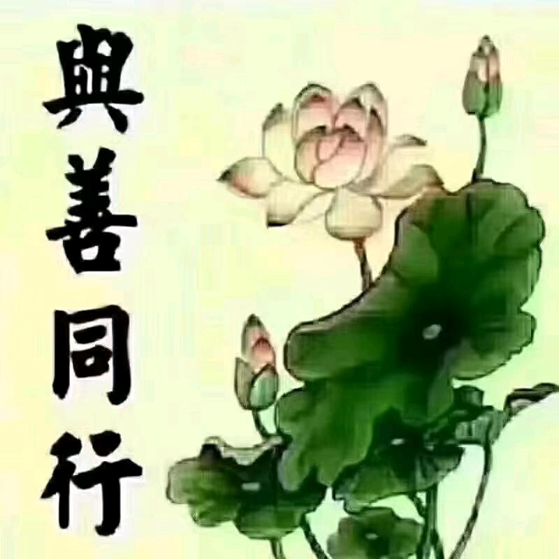 正念正知正信