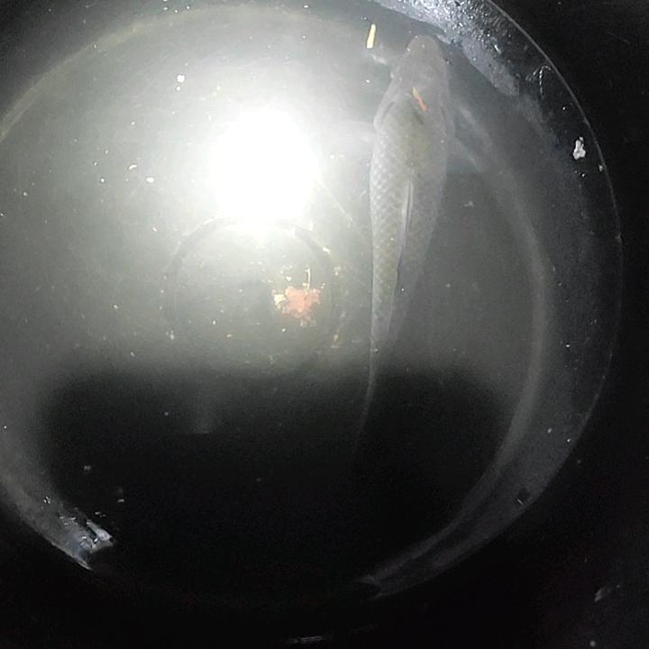 红尘有你