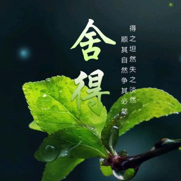 张小燕