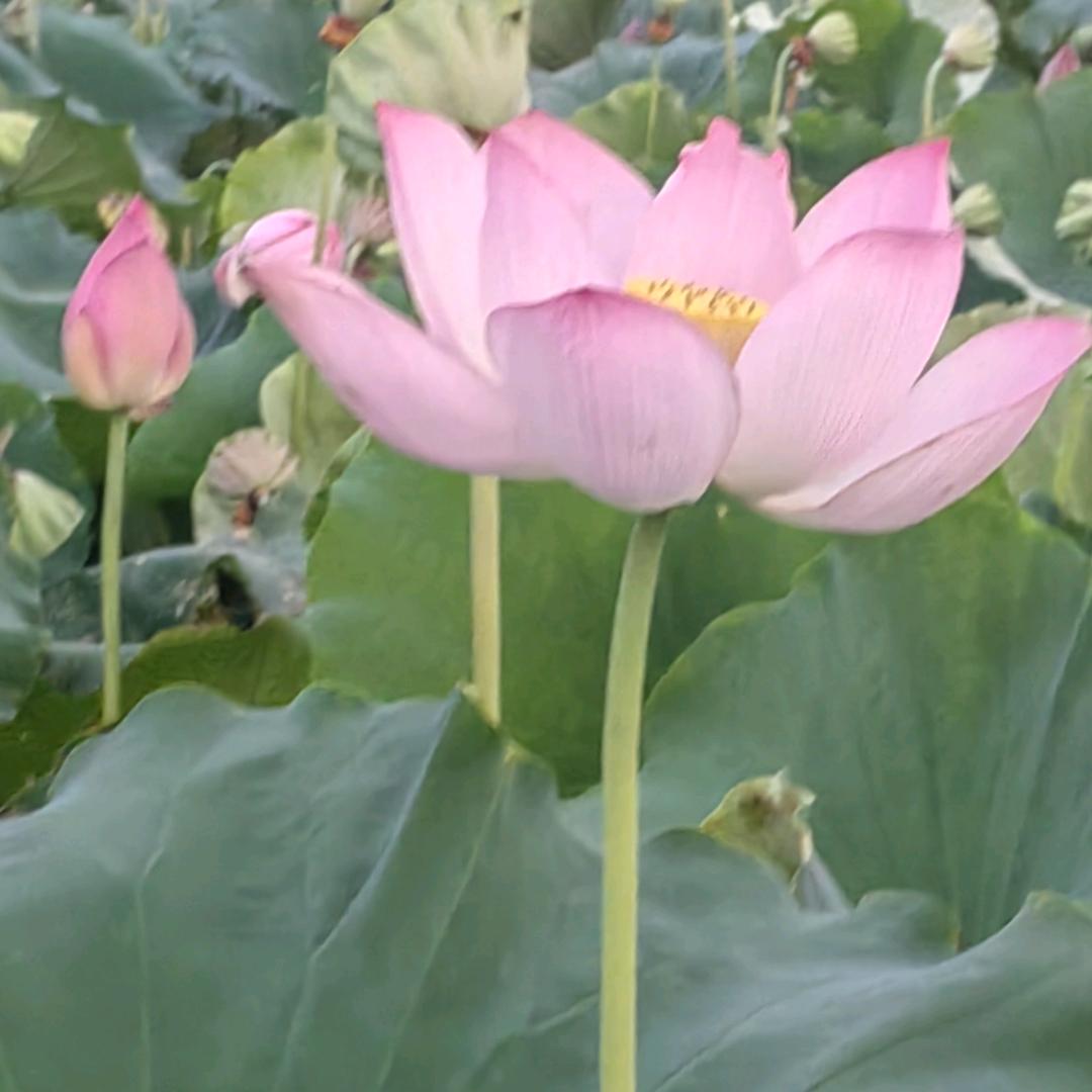 我爱我家