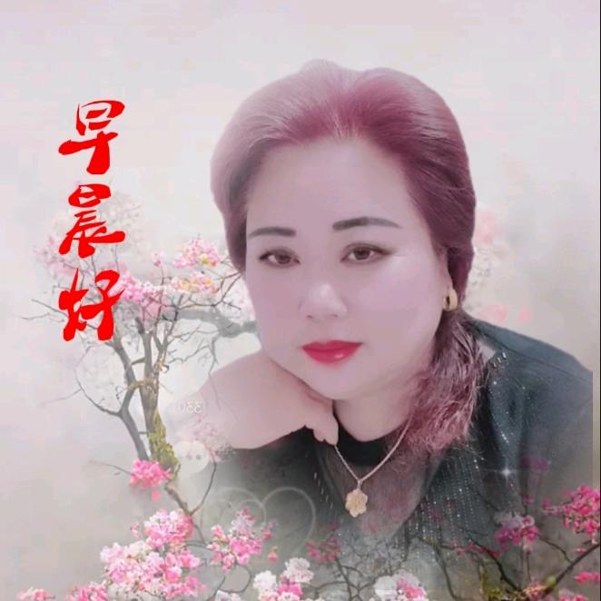 张书凤