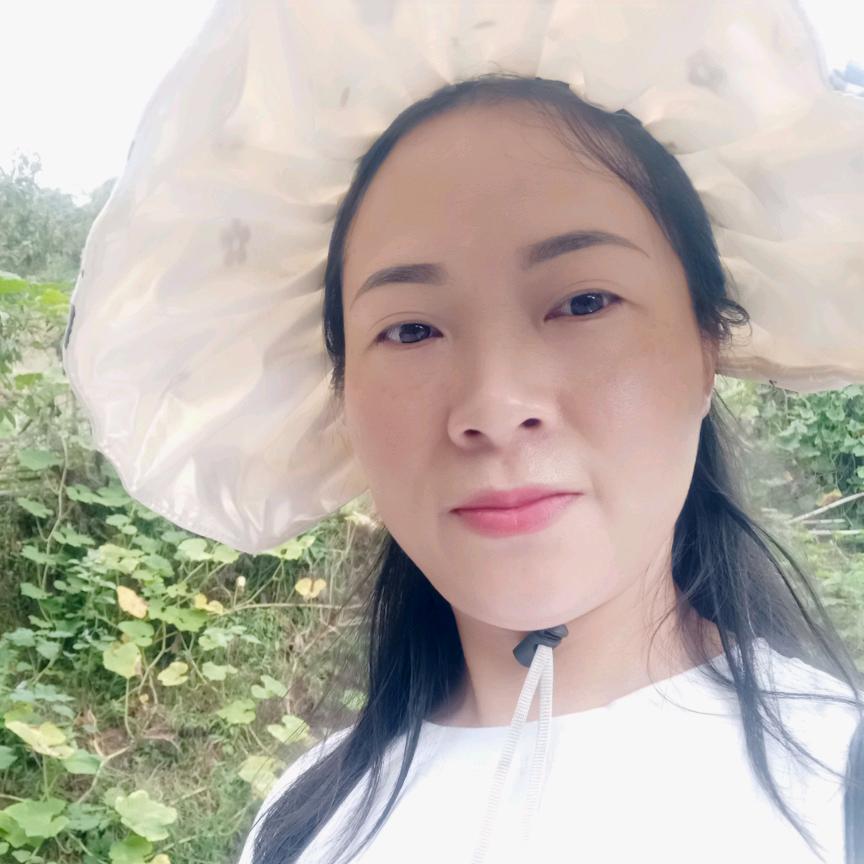 五桂堂京东家电张淑华