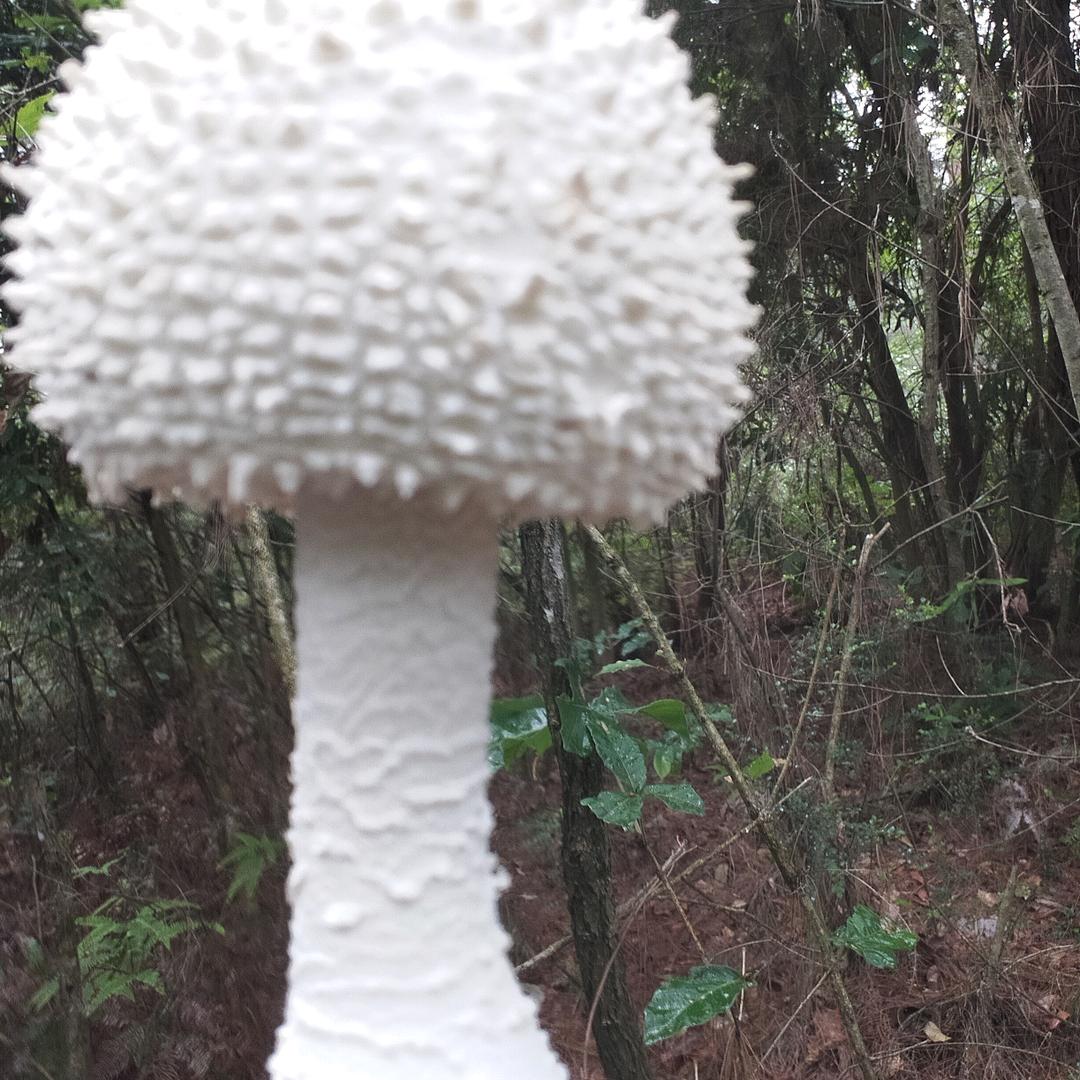 王忠