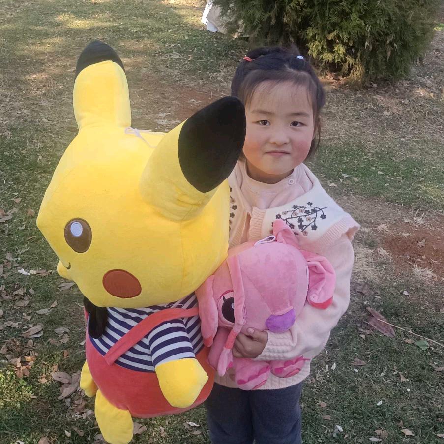 风之少女梦