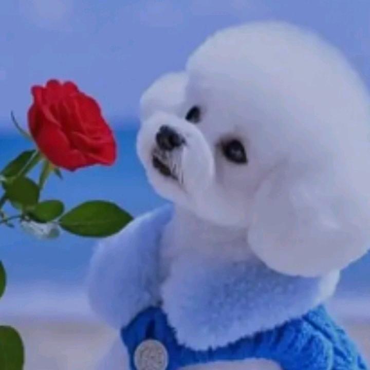 缘💕🍒