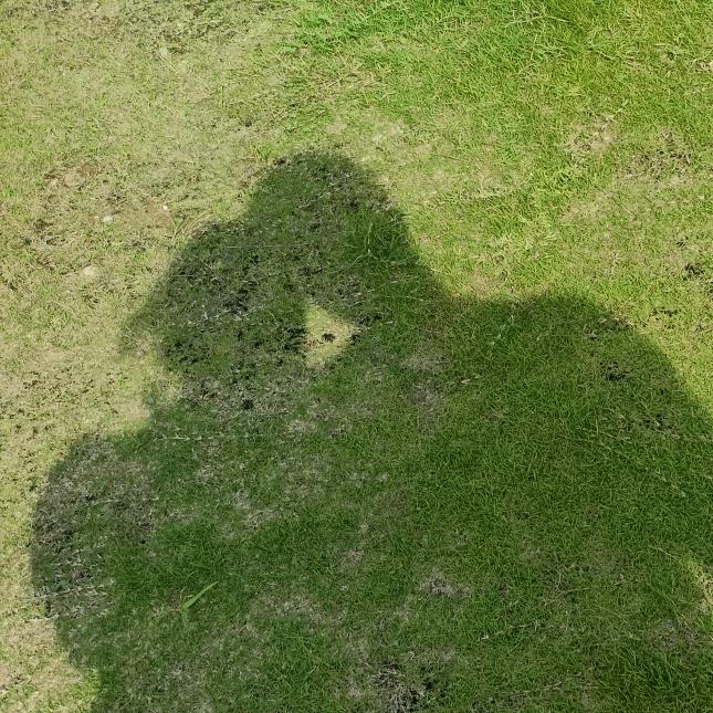 谁叫炸鸡腿好香