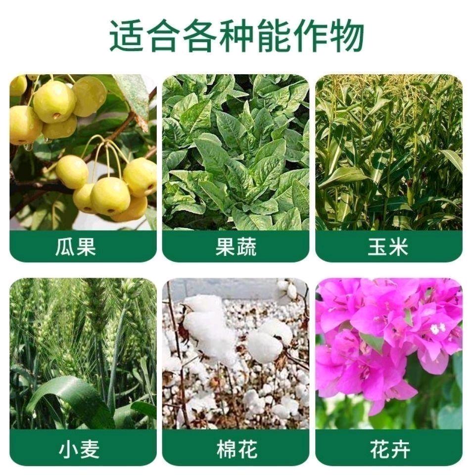 宏远农资仓储臻品仓储一号