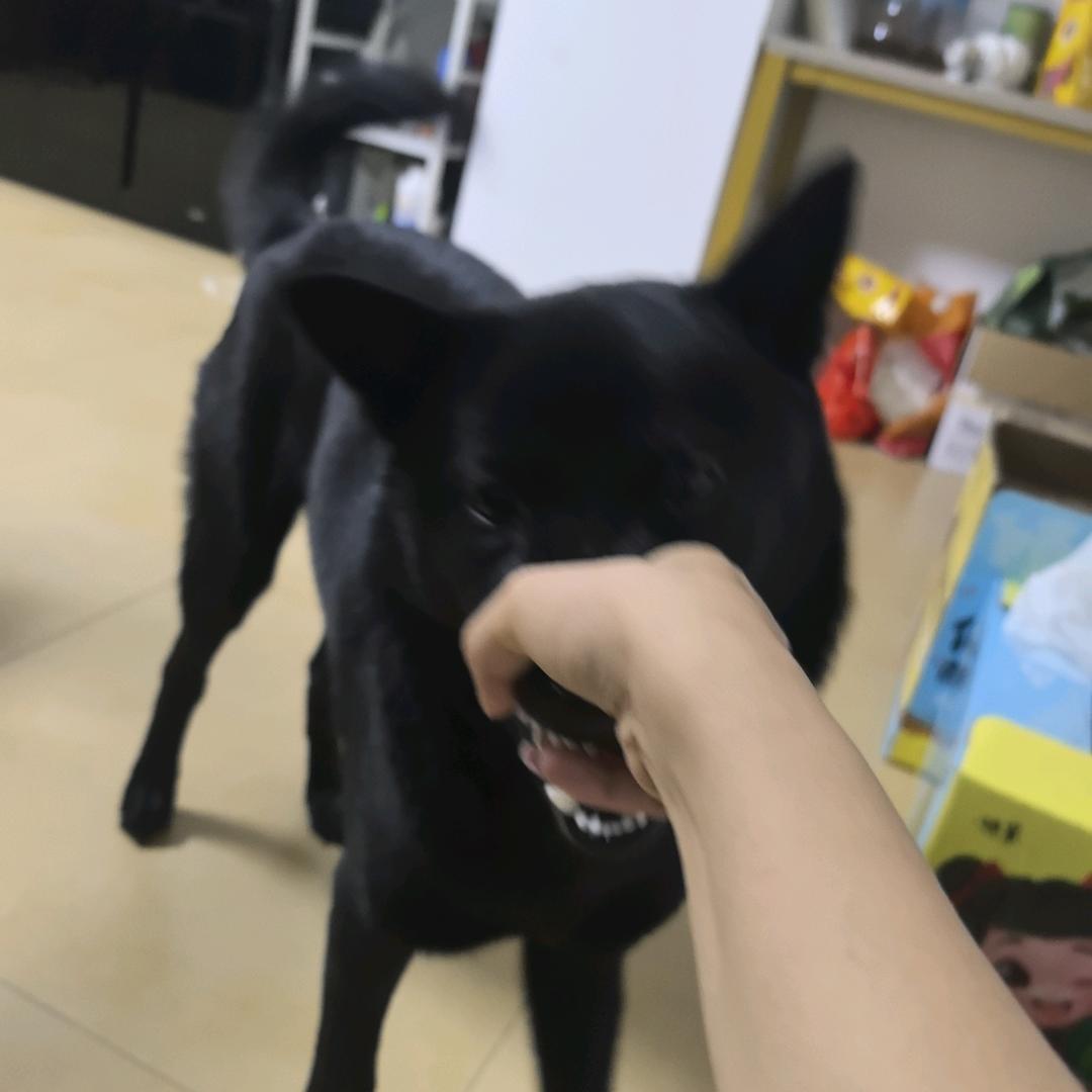陈程💕