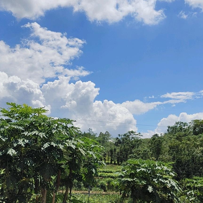 人过半生身为罗马，…