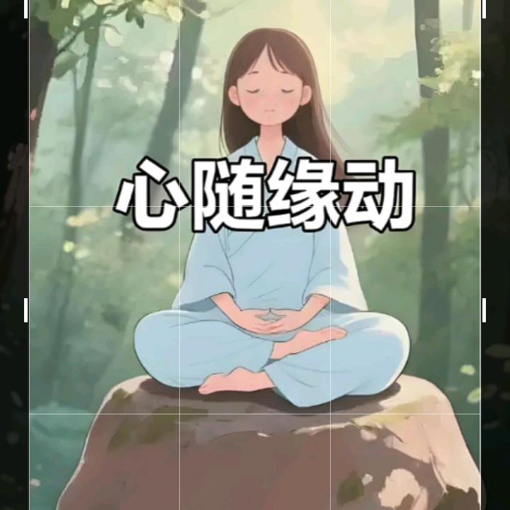 鄂C