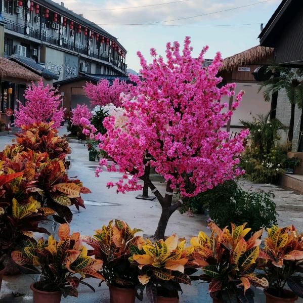 禄香（回收废品）