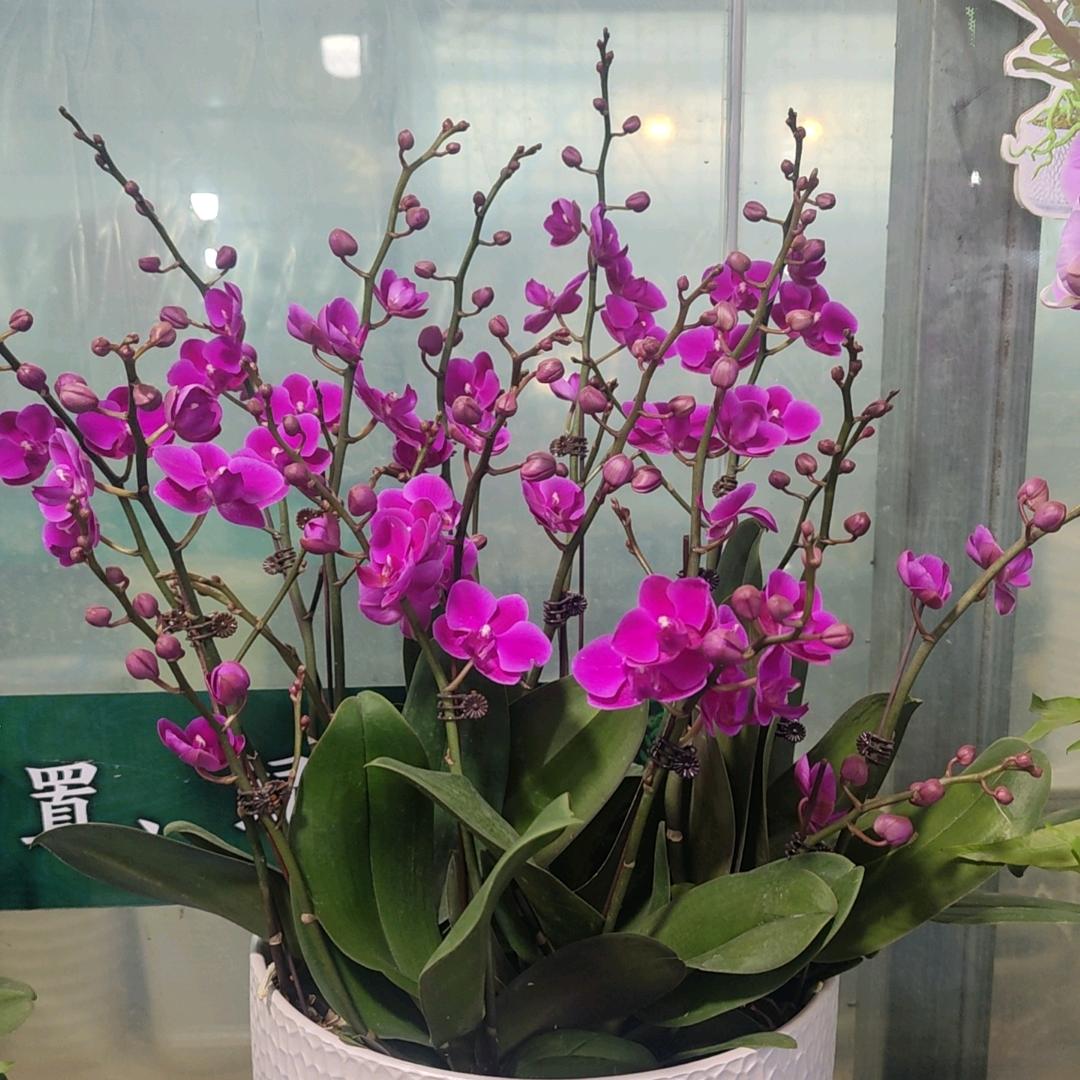 边缘的角落