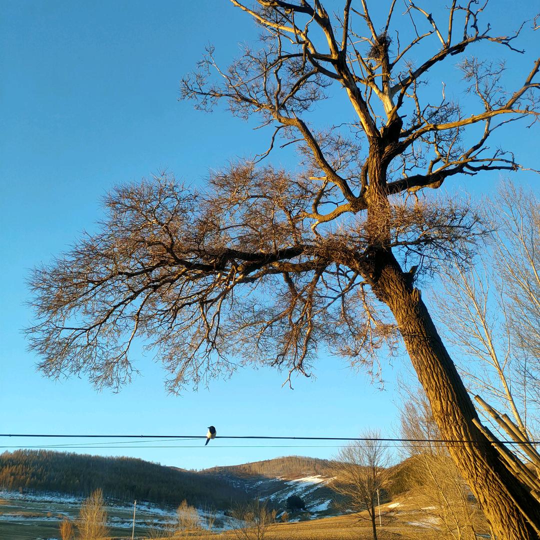 找呀找呀找彭友