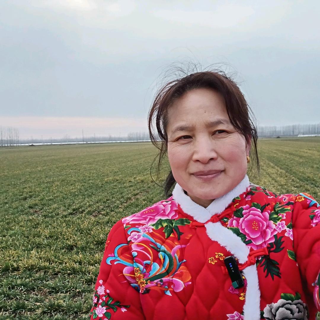 油菜