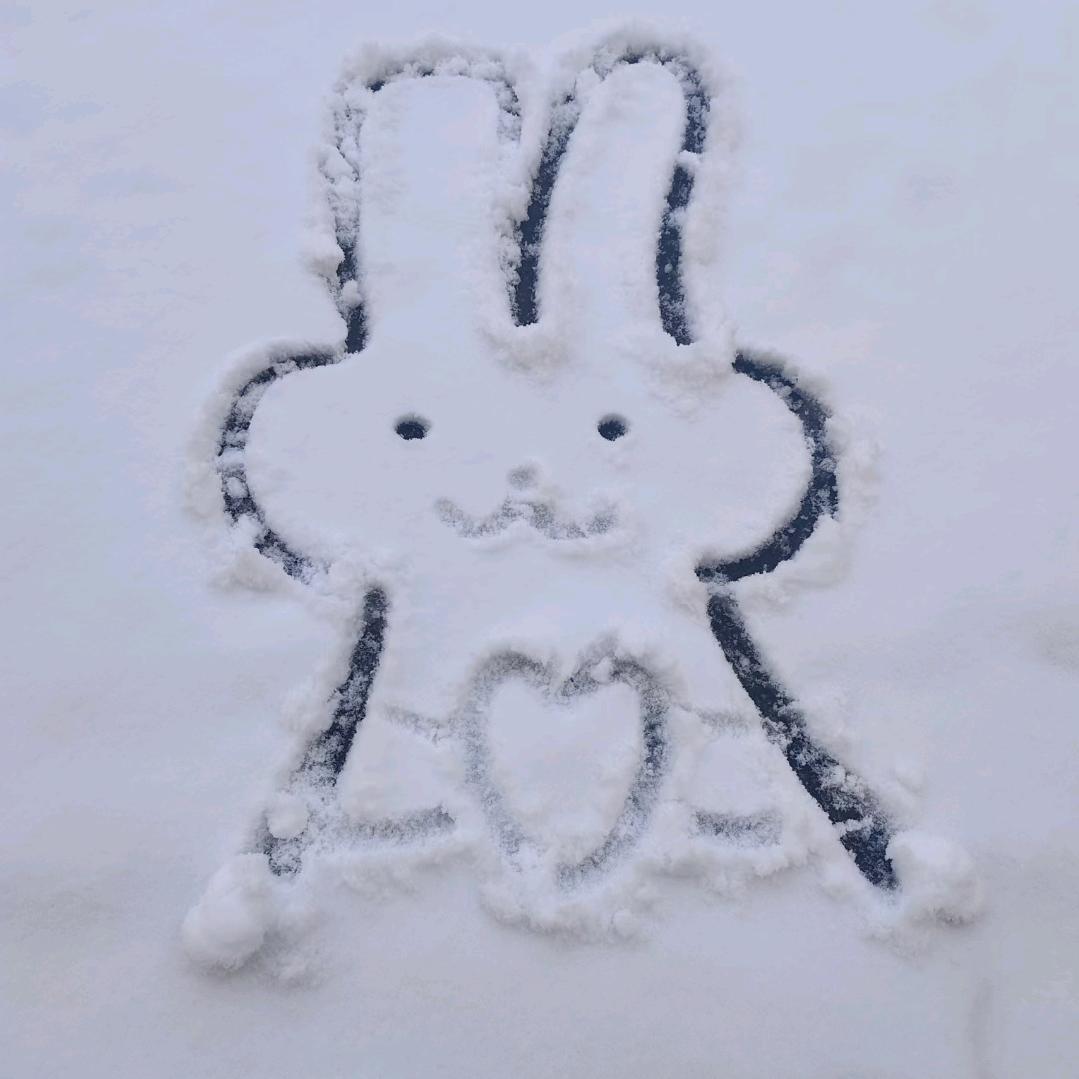 领领吖