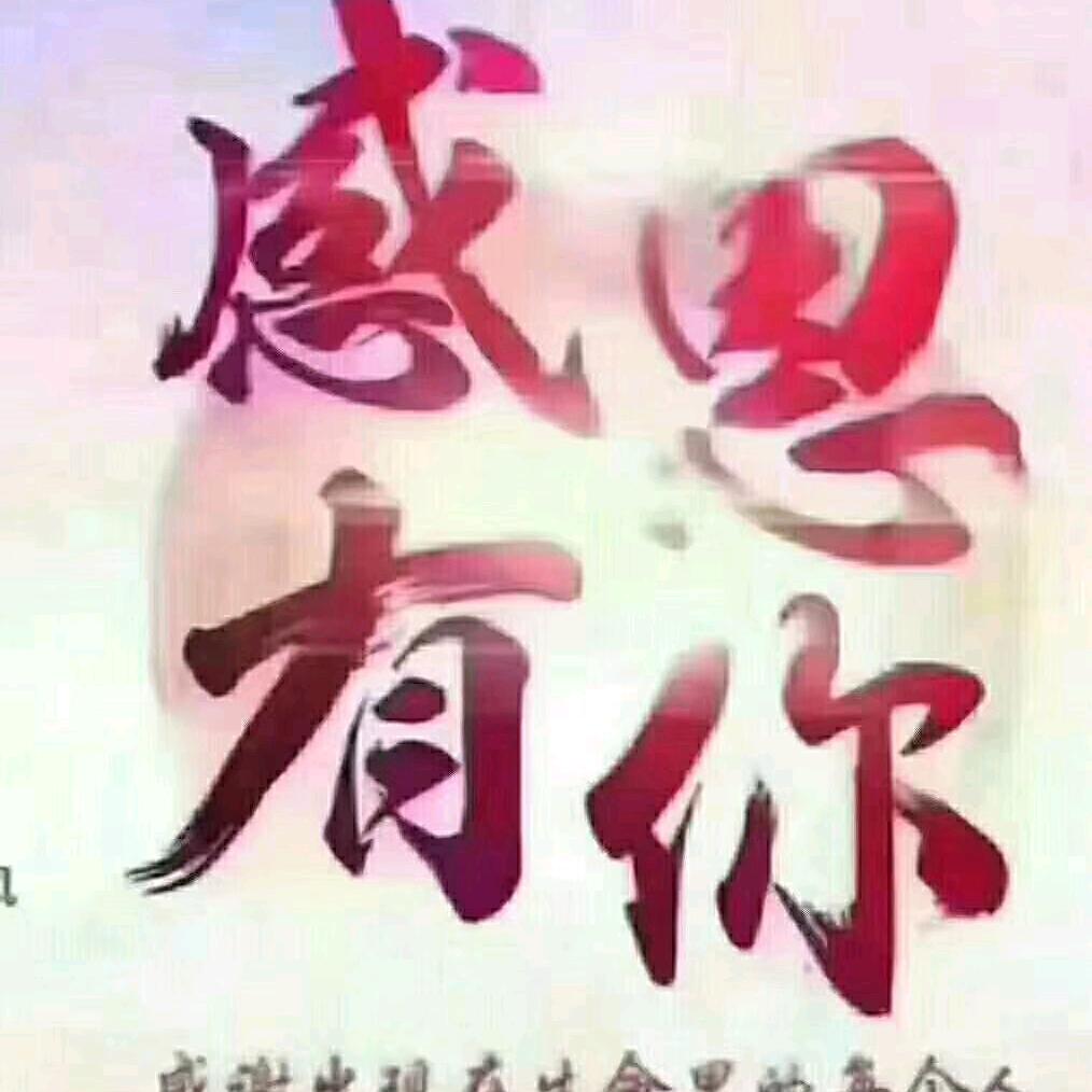 双鸭山碲铂