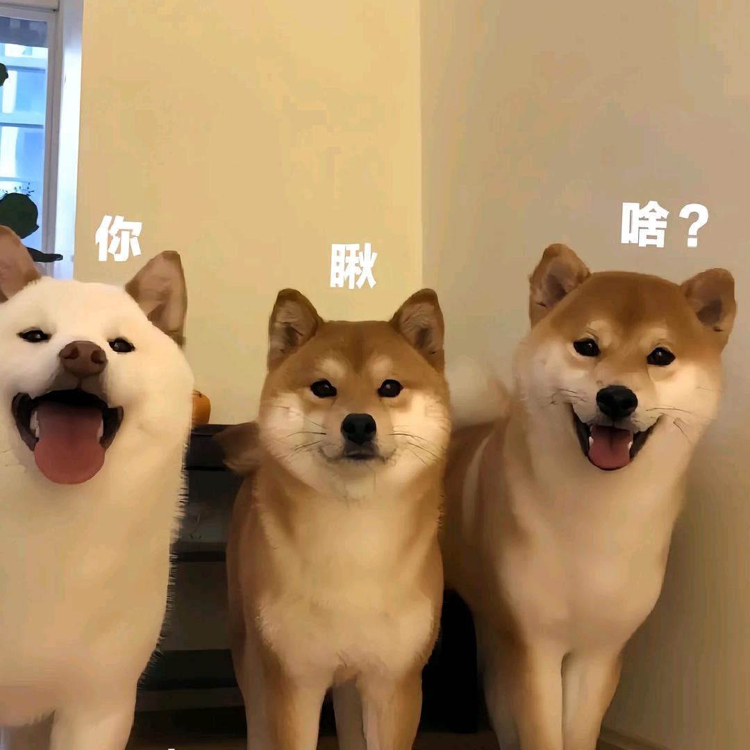 村口F4