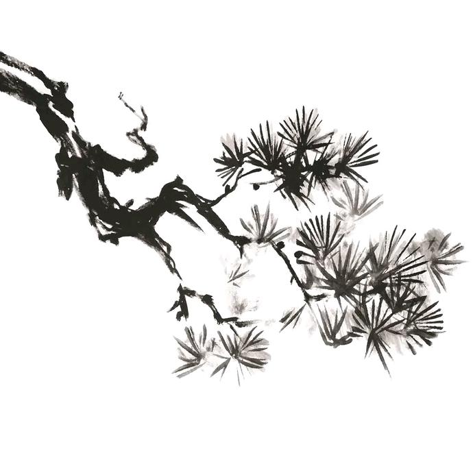 南宛吹花