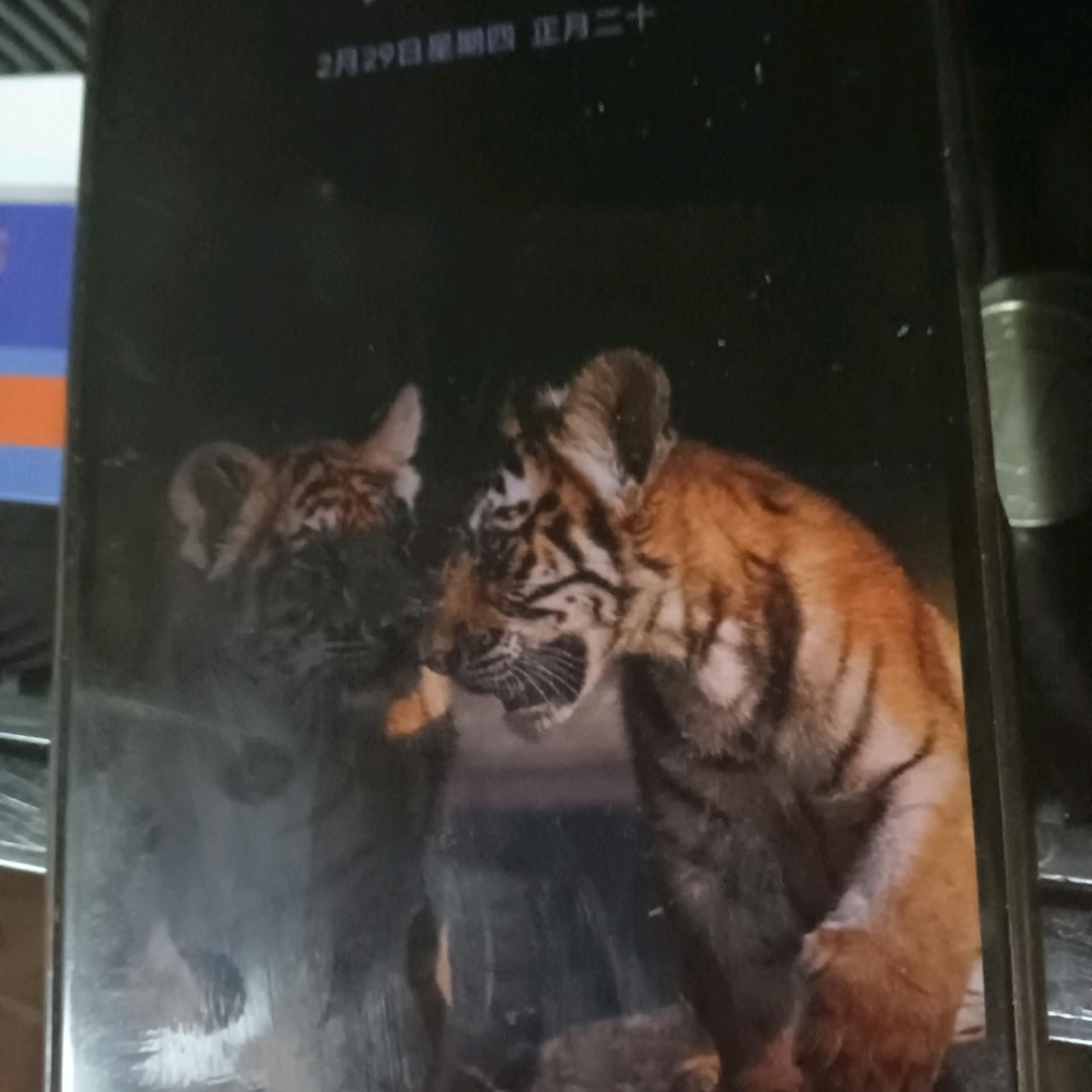 小白龙盘旋姜丝洞