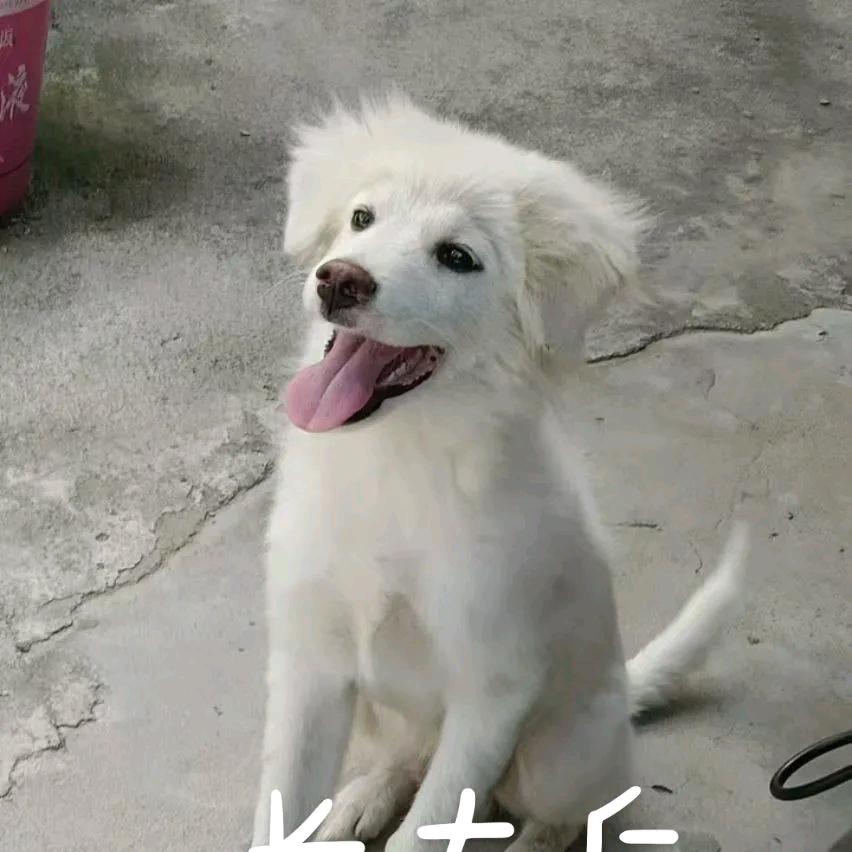 大悟县娜银百货店（个体工商户）