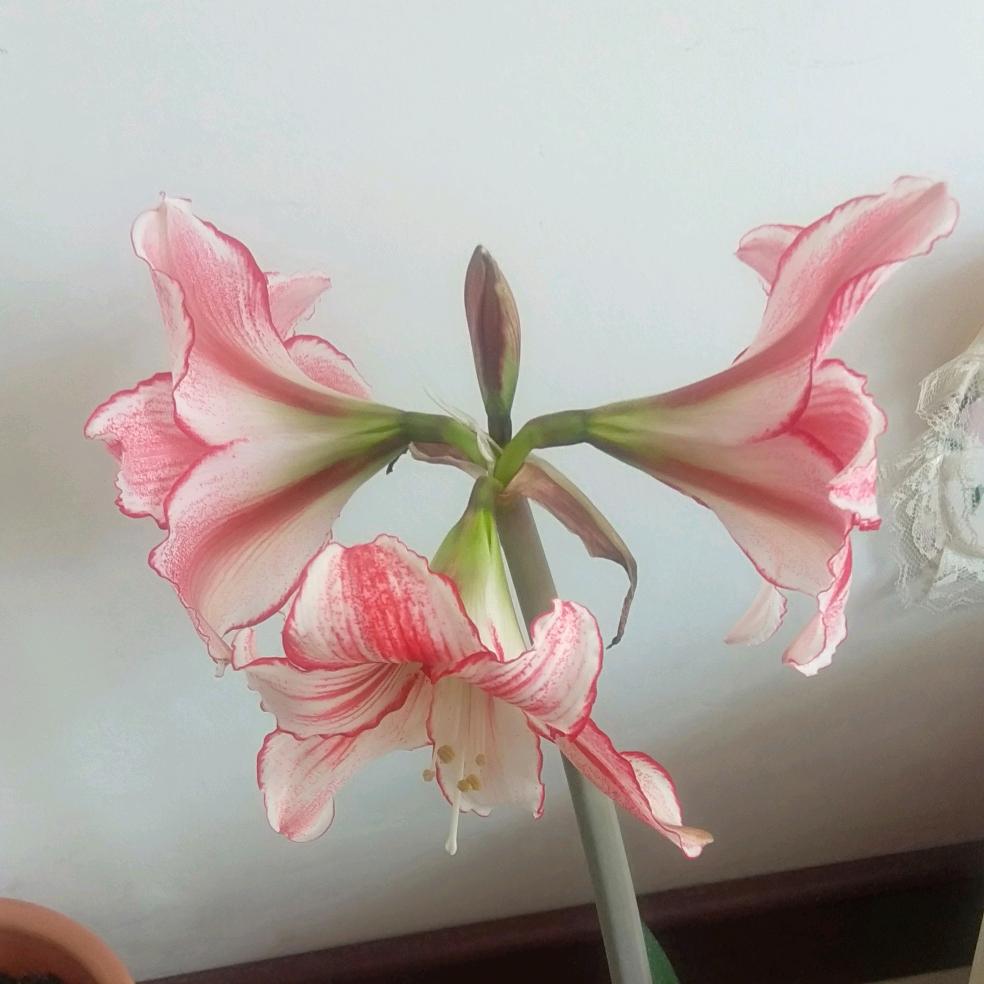 亲亲，宝贝儿
