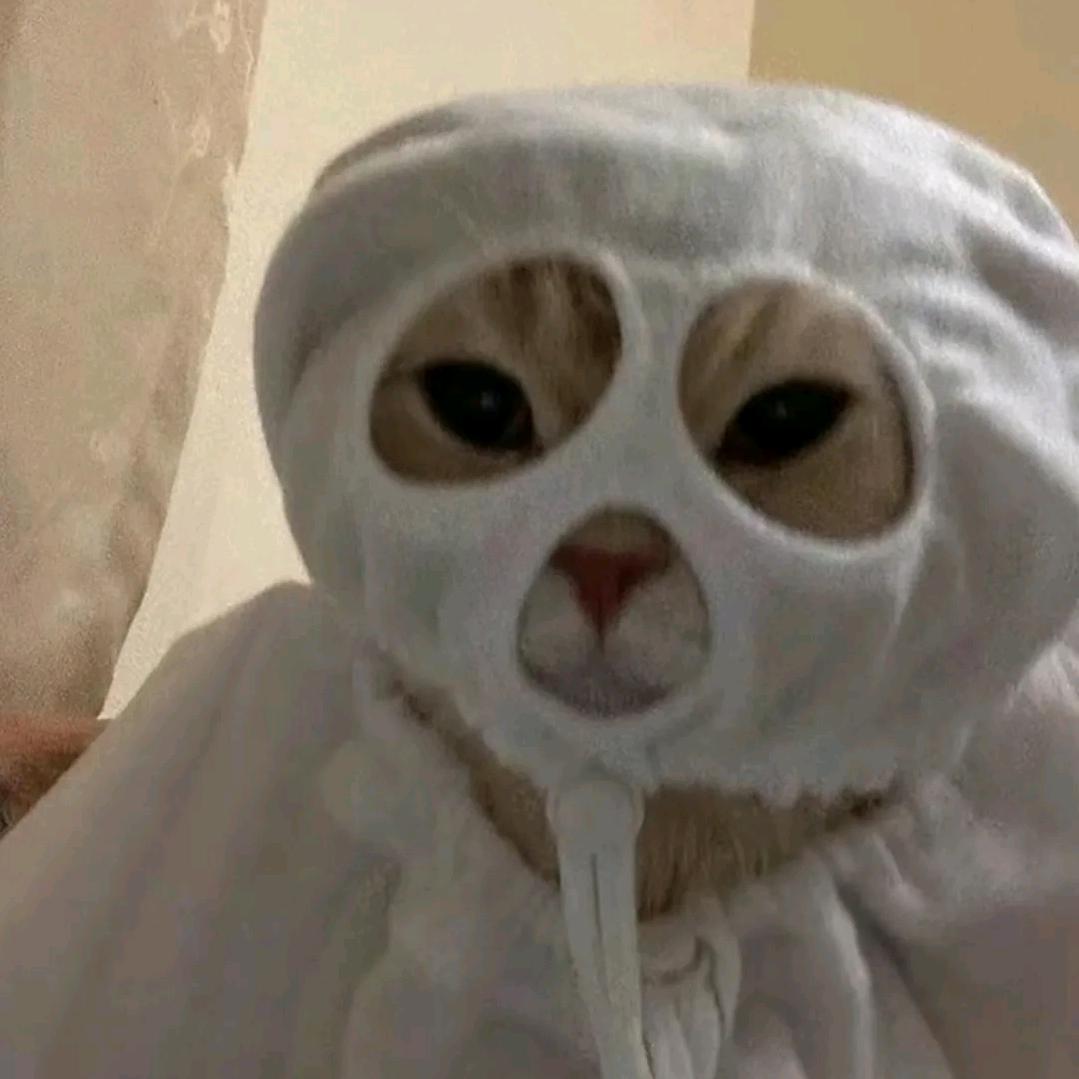 kk≽^•༚• ྀི≼ 🧀